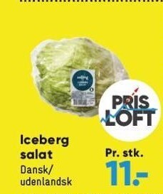 Bilka Iceberg salat tilbud