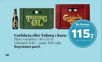 Dagli'Brugsen Carlsberg eller tuborg 1 kasse tilbud