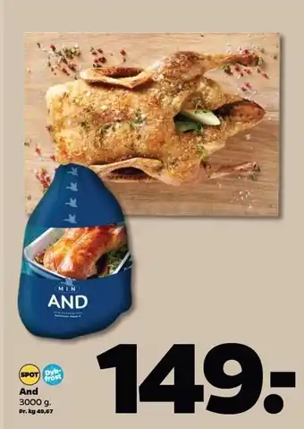 Netto And 3000 g. tilbud