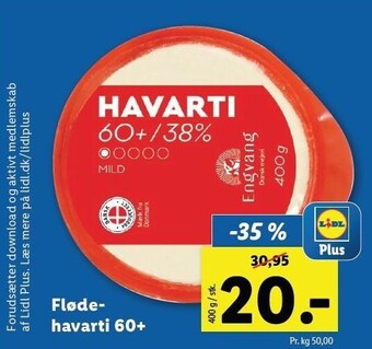 Flødehavarti 60+