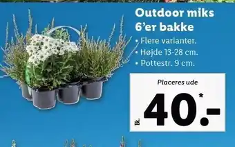 Lidl Outdoor miks 6'er bakke tilbud