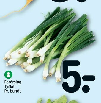 REMA 1000 Forårsløg Tyske tilbud