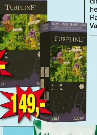 Blomstereng frø
