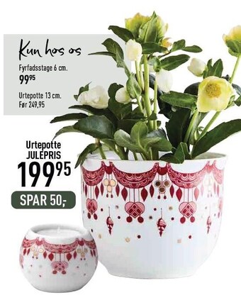 Imerco Urtepotte tilbud