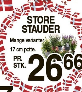 ABC Lavpris Store Stauder tilbud