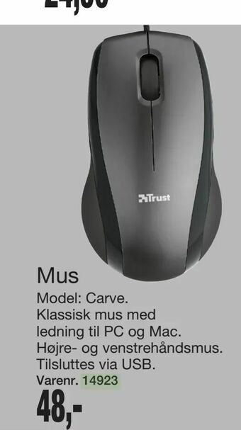 Mus