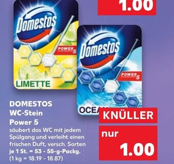 Kaufland DE Domestos WC-Stein Power 5 tilbud