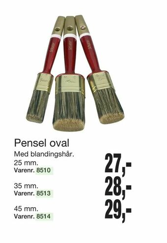 Pensel oval