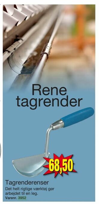 Tagrenderenser