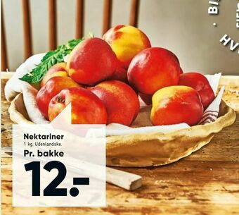 Bilka Nektariner tilbud