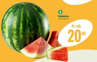 Vandmelon