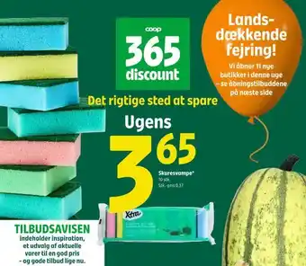 Skuresvampe