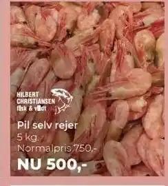 Pil selv rejer