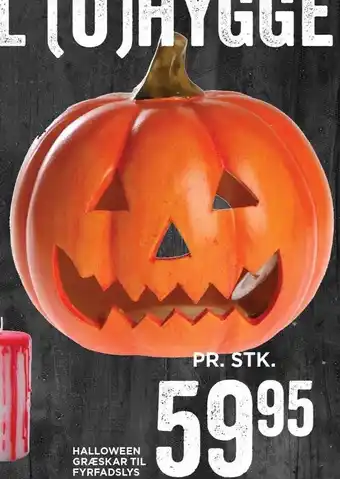 Halloween græskar til fyrfadslys