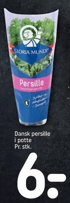 REMA 1000 Dansk persille i potte tilbud