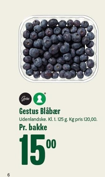 Gestus blåbær