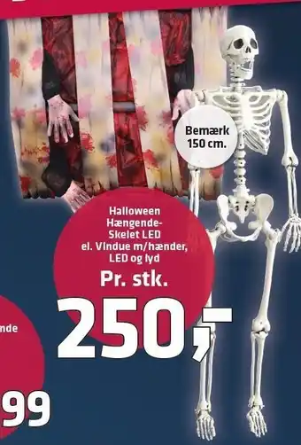 Halloween hængende skelet led el. vundue m/hænder