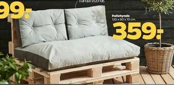 Netto Pallehynde tilbud