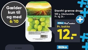 Stenfri grønne druer