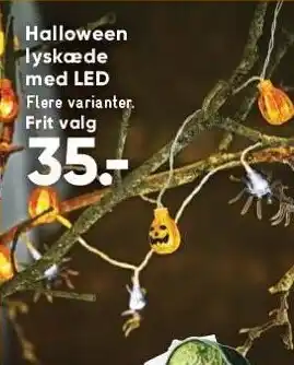 Bilka Halloween lyskæde med led tilbud