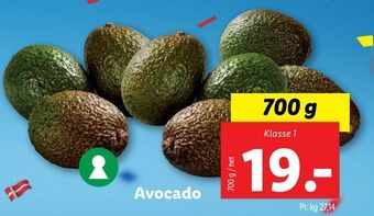Lidl Avocado tilbud