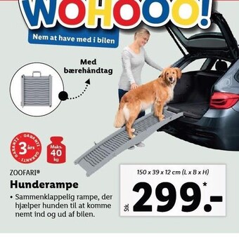 Lidl Hunderampe tilbud