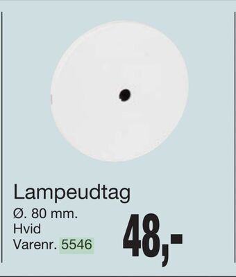 Lampeudtag