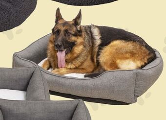 Harald Nyborg Hundeseng tilbud