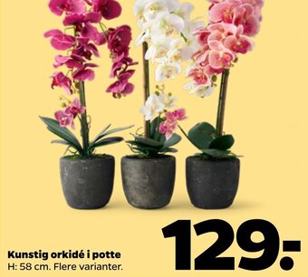 Netto Kunstig Orkidé i Potte tilbud