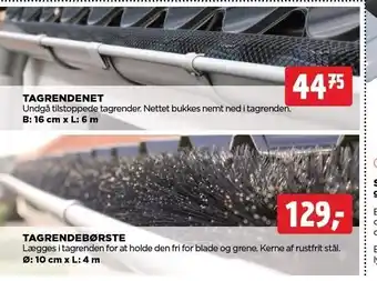 Tagrendenet el. tagrendebørste