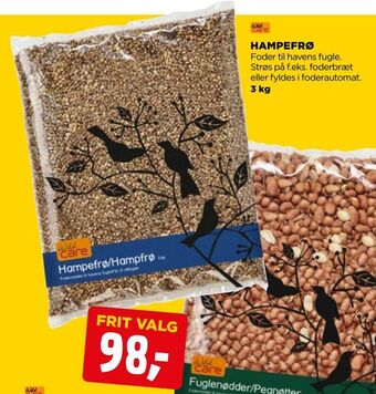 Hampefrø