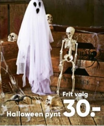 Bilka Halloween Pynt tilbud