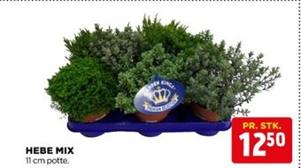 jem & fix Ukendt planter tilbud