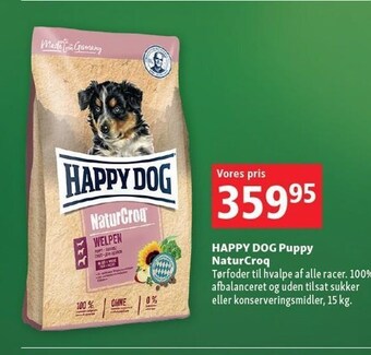 Happy dog puppy naturcroq