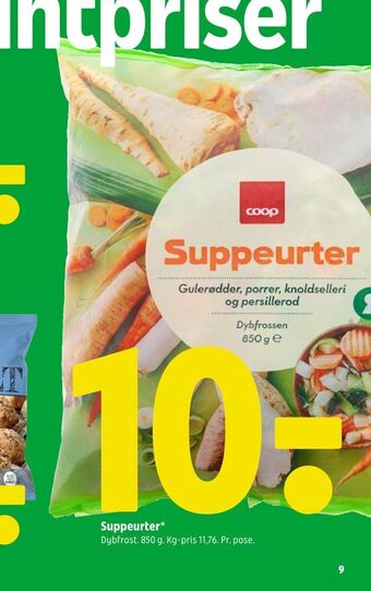 Suppeurter
