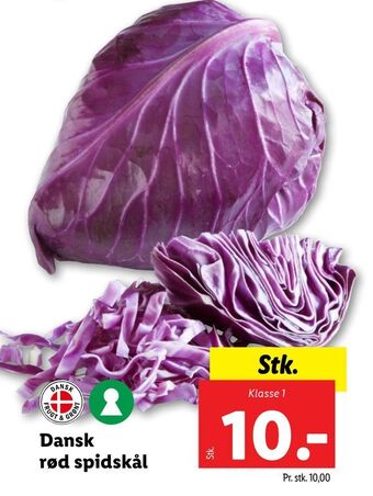 Lidl Dansk rød spidskål tilbud