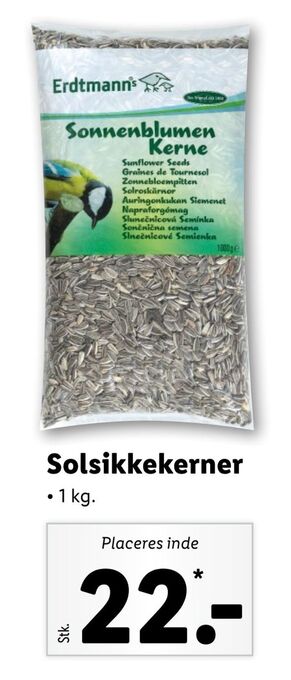 Solsikkekerner
