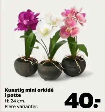 Netto Kunstig mini orkidé i potte tilbud