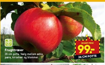 Bilka Frugttræer tilbud
