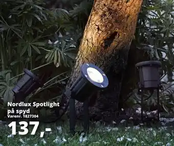 Nordlux Spotlight På Spyd