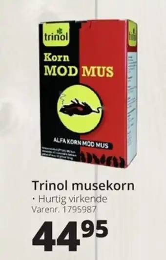 Trinol Musekorn
