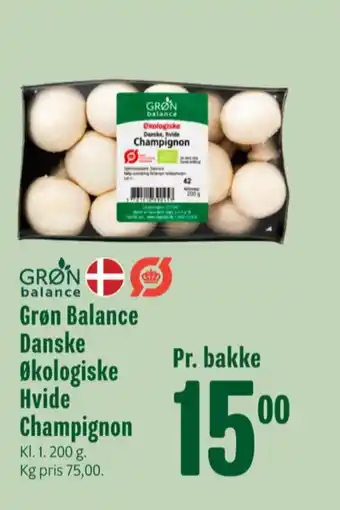 Grøn balance champignon
