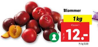 Lidl Ukendt blommer tilbud