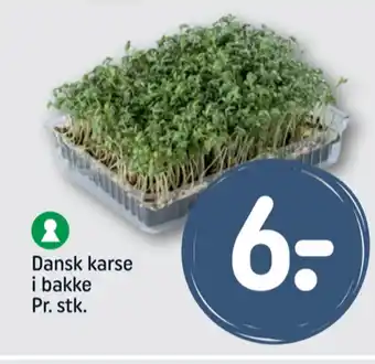 Ukendt karse