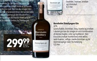 Citti Bornholm slotslyngen gin tilbud
