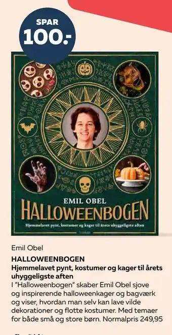 Halloweenbogen hjemmelavet pynt, kostumer og kager til årets uhyggeligste aften
