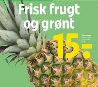 Coop 365 Stor ananas tilbud