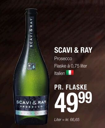 Poetzsch Padborg Scavi & ray tilbud