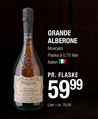 Poetzsch Padborg Grande alberone tilbud