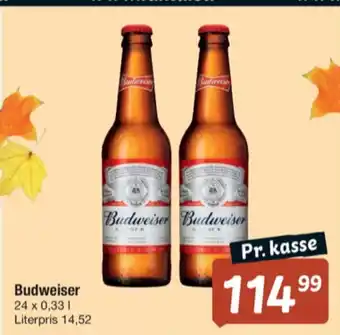 Fakta Tyskland Budweiser øl tilbud